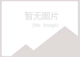 中山区以海采矿有限公司